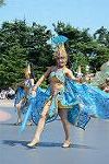Dcim12383/DSC_2750