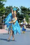 Dcim12383/DSC_2752
