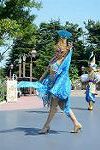 Dcim12383/DSC_2755
