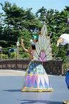 Dcim12383/DSC_2761
