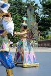 Dcim12383/DSC_2766