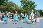 Dcim12383/DSC_2767