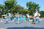 Dcim12383/DSC_2770