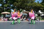 Dcim12383/DSC_2798