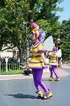 Dcim12384/DSC_2877