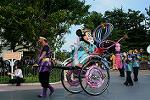 Dcim12385/DSC_3075