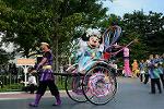 Dcim12385/DSC_3078