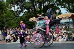 Dcim12386/DSC_3113