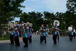 Dcim12386/DSC_3121
