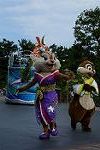 Dcim12386/DSC_3125