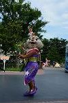 Dcim12386/DSC_3133