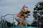 Dcim12386/DSC_3150