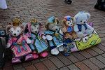 Dcim12387/DSC_3237