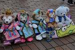 Dcim12387/DSC_3238