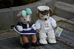Dcim12393/DSC_4178