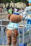 Dcim12396/DSC_4507