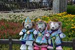 Dcim12397/DSC_4685