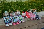 Dcim12397/DSC_4731
