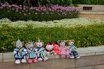 Dcim12397/DSC_4736