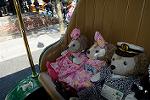 Dcim12402/DSC_5324