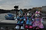 Dcim12405/DSC_5073