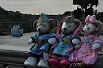 Dcim12405/DSC_5083