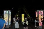Dcim12408/DSC_5556