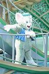 Dcim12411/DSC_6061