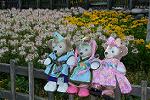 Dcim12414/DSC_6586