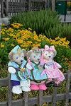 Dcim12414/DSC_6588