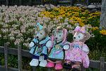 Dcim12414/DSC_6591