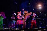 Dcim12415/DSC_6718