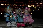 Dcim12415/DSC_6747