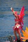 Dcim12423/DSC_7482