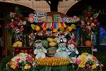 Dcim12429/DSC_8361