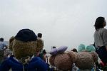 Dcim12431/DSC_8489