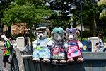 Dcim12442/DSC_9594