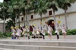 Dcim12452/DSC_0739