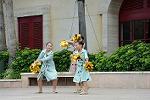 Dcim12455/DSC_1160