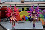 Dcim12458/DSC_1504