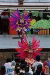 Dcim12458/DSC_1528