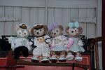 Dcim12470/DSC_2939