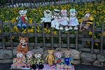 Dcim12478/DSC_3914
