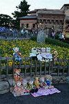 Dcim12478/DSC_3921