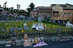 Dcim12478/DSC_3922