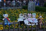 Dcim12478/DSC_3926