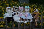 Dcim12478/DSC_3927