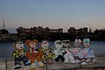 Dcim12478/DSC_3947