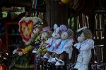 Dcim12479/DSC_4000