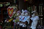 Dcim12479/DSC_4001